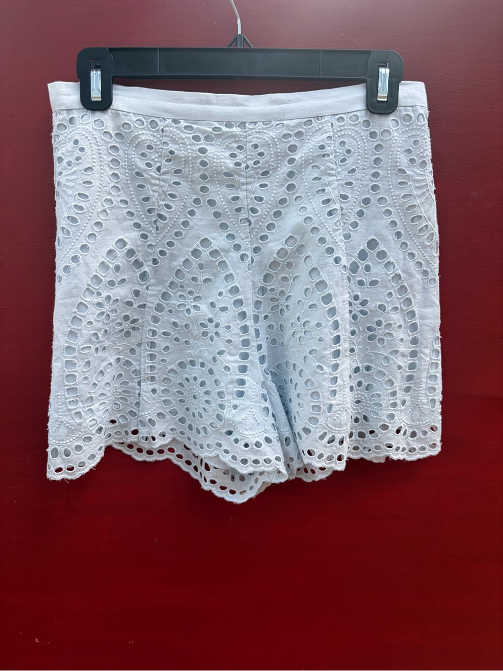 Zimmermann Blue Lace Shorts